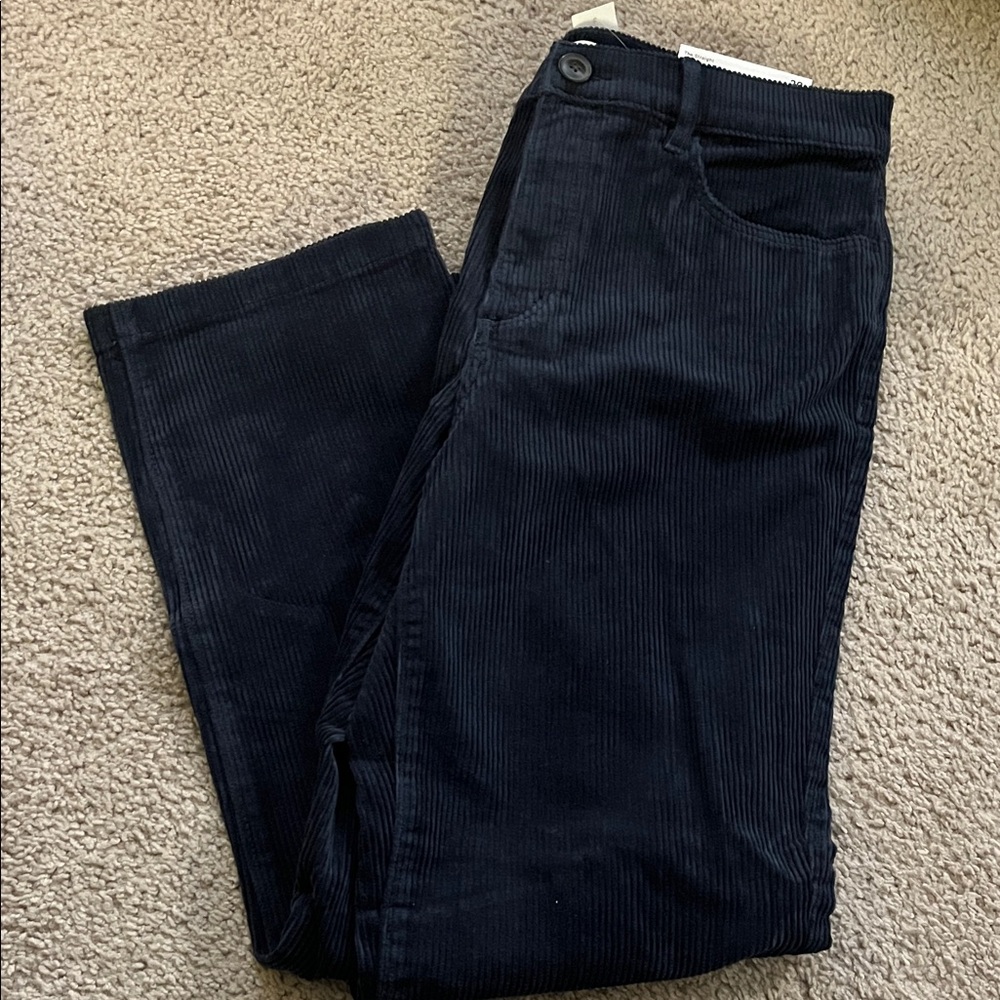 LOFT Dark Navy/Black Corduroy Pants